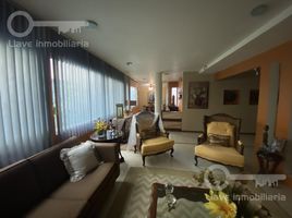 0 SqM Office for rent in Veracruz, Coatzacoalcos, Veracruz