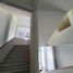 600 제곱미터입니다 Office for rent in 베라 크루즈, 베라 크루즈, 베라 크루즈