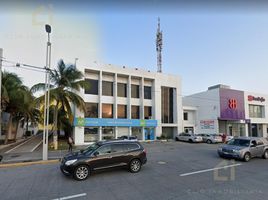 600 제곱미터입니다 Office for rent in 베라 크루즈, 베라 크루즈, 베라 크루즈