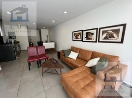 구스타보 마드로, 멕시코 시티PropertyTypeNameBedroom, 구스타보 마드로