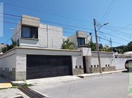 450 平米 Office for rent in Campeche, Campeche, Campeche