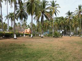  Grundstück zu vermieten in San Blas, Nayarit, San Blas