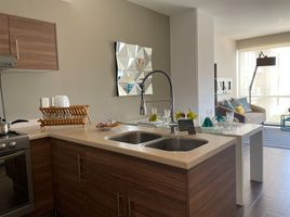 2 Habitación Apartamento en alquiler en Monterrey, Nuevo León, Monterrey