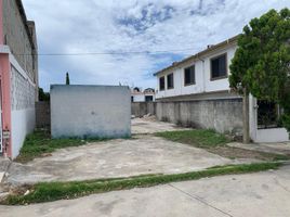  Terreno (Parcela) en alquiler en Altamira, Tamaulipas, Altamira