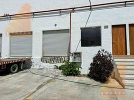 Estudio Villa en alquiler en Puerto Morelos, Quintana Roo, Puerto Morelos