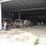 在Tuxpan, Veracruz出租的开间 屋, Tuxpan