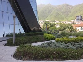 773 m2 Office for rent in Nuevo Leon, Monterrey, Nuevo Leon