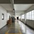 Studio House for rent in Miguel Hidalgo, Mexico City, Miguel Hidalgo