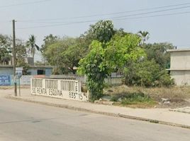  Terreno (Parcela) en alquiler en Altamira, Tamaulipas, Altamira, Tamaulipas