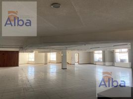 600 m2 Office for rent in FazWaz.fr, Aguascalientes, Aguascalientes, Mexique