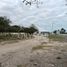  Land for rent in Pueblo Viejo Veracruz, Pueblo Viejo