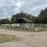  Land for rent in Pueblo Viejo Veracruz, Pueblo Viejo