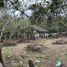  Land for rent in Pueblo Viejo Veracruz, Pueblo Viejo
