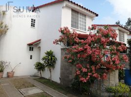 3 Habitación Casa en alquiler en Tamaulipas, Altamira, Tamaulipas