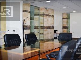 8 m² Office for rent in Chihuahua, Chihuahua, Chihuahua