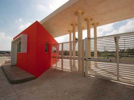 2 Bedroom Apartment for rent in Cancun, Quintana Roo, Cancun, Quintana Roo