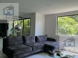 2 Schlafzimmer Appartement zu vermieten in Miguel Hidalgo, Mexico City, Miguel Hidalgo