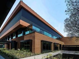 969 m² Office for rent in Mexico City, Miguel Hidalgo, Mexico City