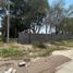  Terreno (Parcela) en alquiler en San Luis Potosi, San Luis Potosí, San Luis Potosi, San Luis Potosí