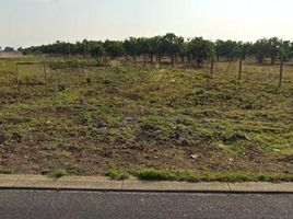  Land for rent in Calpan, Puebla, Calpan
