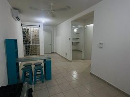 Appartement 2 chambre à louer à Cozumel, Quintana Roo, Cozumel, Quintana Roo, Mexique