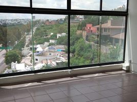 120 m² Office for rent in Guanajuato, Leon, Guanajuato
