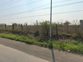 살리나스 빅토리아, 누에 보 레온PropertyTypeNameBedroom, 살리나스 빅토리아