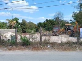 在Campeche出租的 土地, Champoton, Campeche