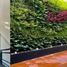 Studio House for rent in Cuajimalpa De Morelos, Mexico City, Cuajimalpa De Morelos