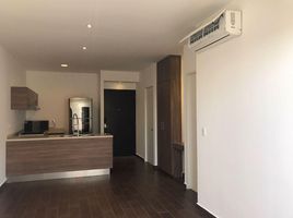 1 Schlafzimmer Appartement zu vermieten in Monterrey, Nuevo Leon, Monterrey