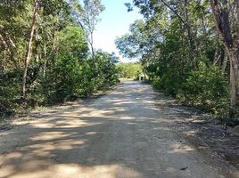  Terrain for rent in Othon P Blanco, Quintana Roo, Othon P Blanco