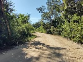  Land for rent in Othon P Blanco, Quintana Roo, Othon P Blanco