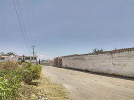  Land for sale in Huamantla, Tlaxcala, Huamantla