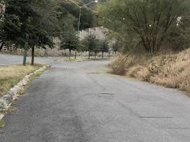  Grundstück zu verkaufen in Monterrey, Nuevo Leon, Monterrey