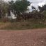  Land for sale in Asientos, Aguascalientes, Asientos