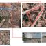  Land for sale in Soledad De Graciano Sanchez, San Luis Potosi, Soledad De Graciano Sanchez