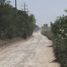  Terreno (Parcela) en venta en Pesqueria, Nuevo León, Pesqueria