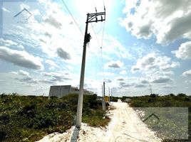  Grundstück zu verkaufen in Chicxulub Pueblo, Yucatan, Chicxulub Pueblo