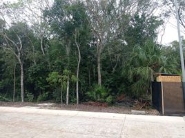  Terreno (Parcela) en venta en Cozumel, Quintana Roo, Cozumel, Quintana Roo