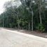  Terreno (Parcela) en venta en Cozumel, Quintana Roo, Cozumel, Quintana Roo