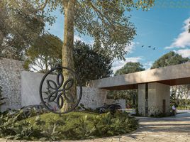  Grundstück zu verkaufen in Conkal, Yucatan, Conkal
