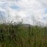  Terreno (Parcela) en venta en Cintalapa, Chiapas, Cintalapa