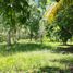  Grundstück zu verkaufen in Othon P Blanco, Quintana Roo, Othon P Blanco
