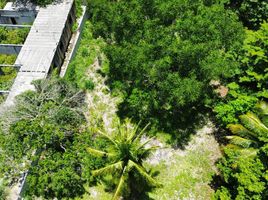  Grundstück zu verkaufen in Othon P Blanco, Quintana Roo, Othon P Blanco