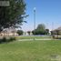  Land for sale in Saucillo, Chihuahua, Saucillo