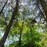  Land for sale in Chignautla, Puebla, Chignautla