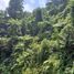  Land for sale in Chignautla, Puebla, Chignautla