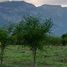  Terreno (Parcela) en venta en Cadereyta Jimenez, Nuevo León, Cadereyta Jimenez