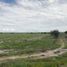  Terreno (Parcela) en venta en San Luis De La Paz, Guanajuato, San Luis De La Paz