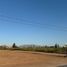  Land for sale in Aldama Tamaulipas, Aldama